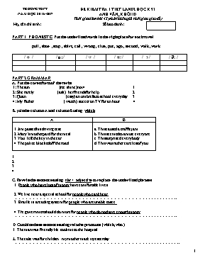 Đề kiểm tra 1 tiết lần 2 học kỳ 1 môn Tiếng Anh Lớp 10 - Năm học 2016-2017